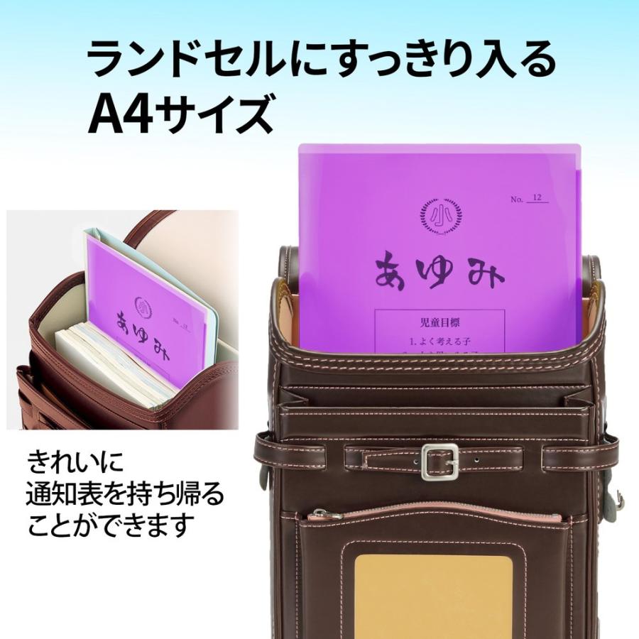 プラス(PLUS) クリアホルダー 通知表ホルダー 6ポケット 見開き収容可 パープル FL-200SF 79-822 | PLUS | 04