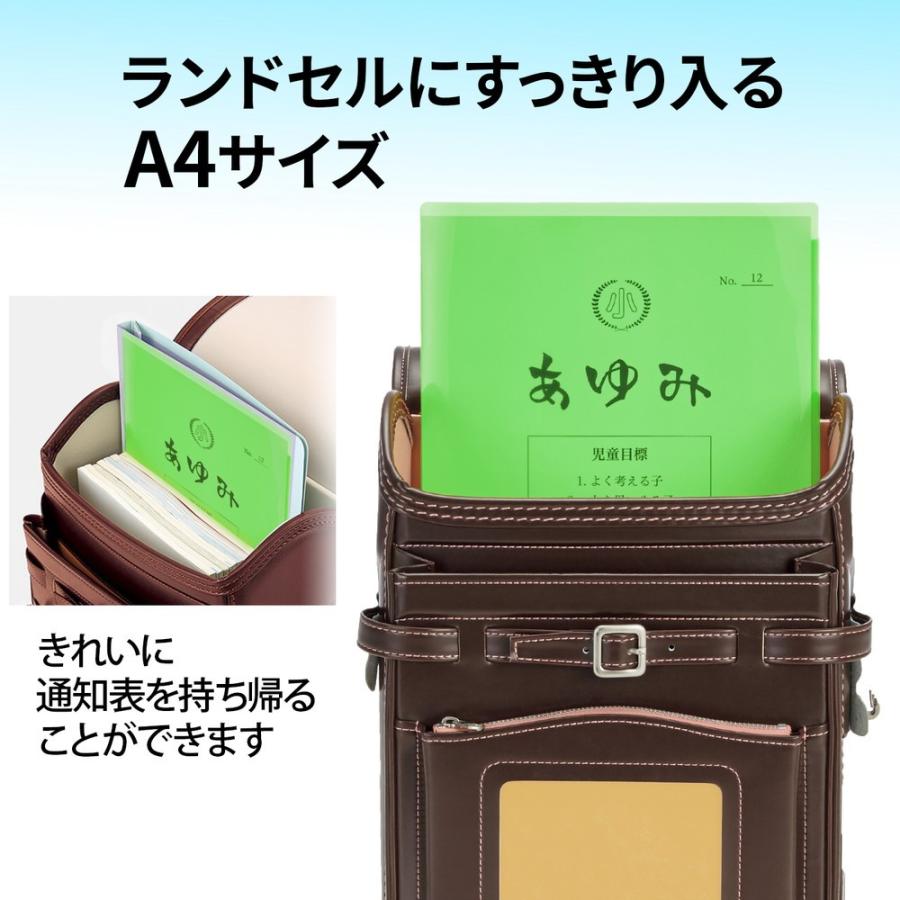 プラス(PLUS) クリアホルダー 通知表ホルダー 6ポケット 見開き収容可 グリーン FL-200SF 79-825 | PLUS | 04