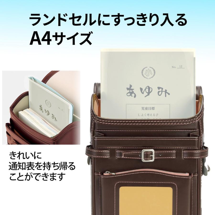 プラス(PLUS) クリアホルダー 通知表ホルダー 6ポケット 見開き収容可 クリア FL-200SF 79-826 | PLUS | 04