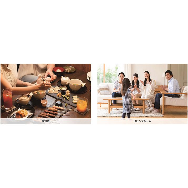 キングジム kingjim 卓上 CO2 モニター CD10シロ | Wrangler | 09