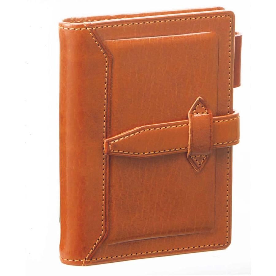 レイメイ藤井 raymay ダ・ヴィンチ mini5サイズ システム手帳 ロロマクラシック 11mm ブラウン DPM3034C | レイメイ藤井