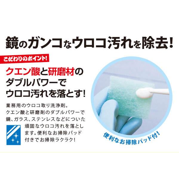 アイメディア AIMEDIA 業務用スカッとウロコ取りクリーナー 1007913 | アイメディア | 02