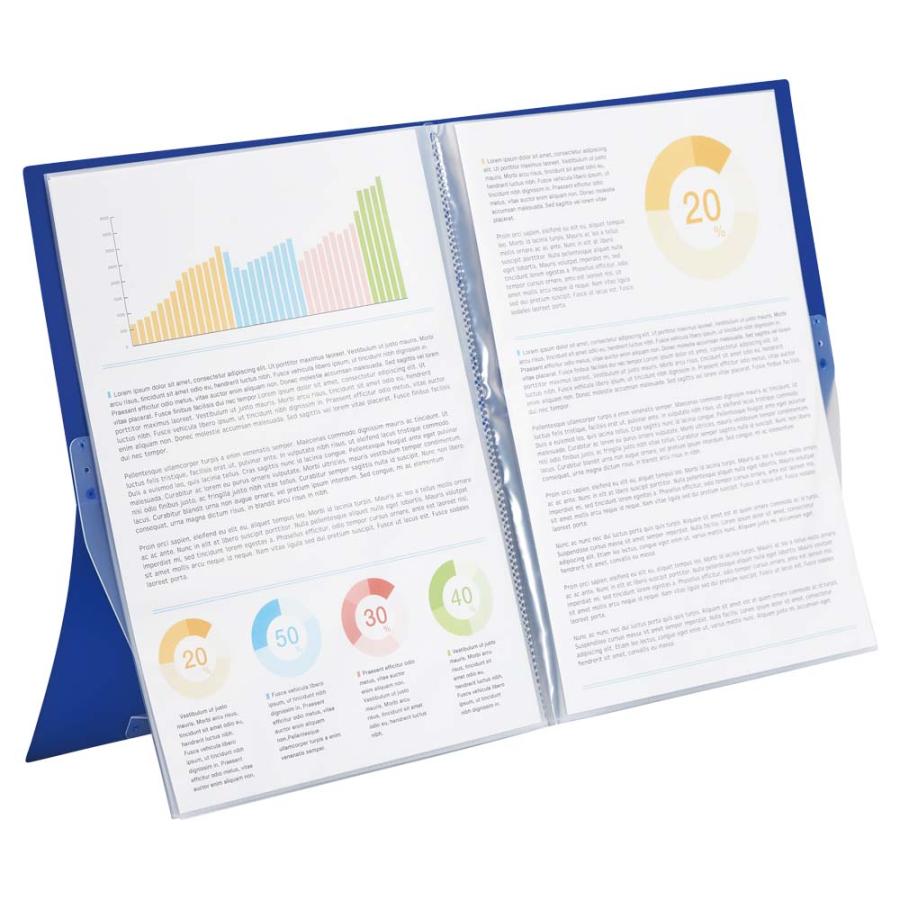 リヒトラブ LIHITLAB クリヤーブック＜スタンド式＞A4 ポケット10枚 ブルー N6002-8 | LIHIT LAB. | 01