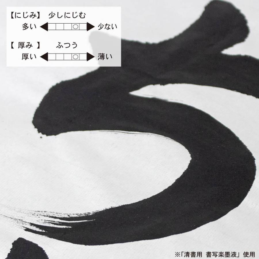 書道半紙「真白」 100枚入り AO-31H | あかしや（文具） | 04