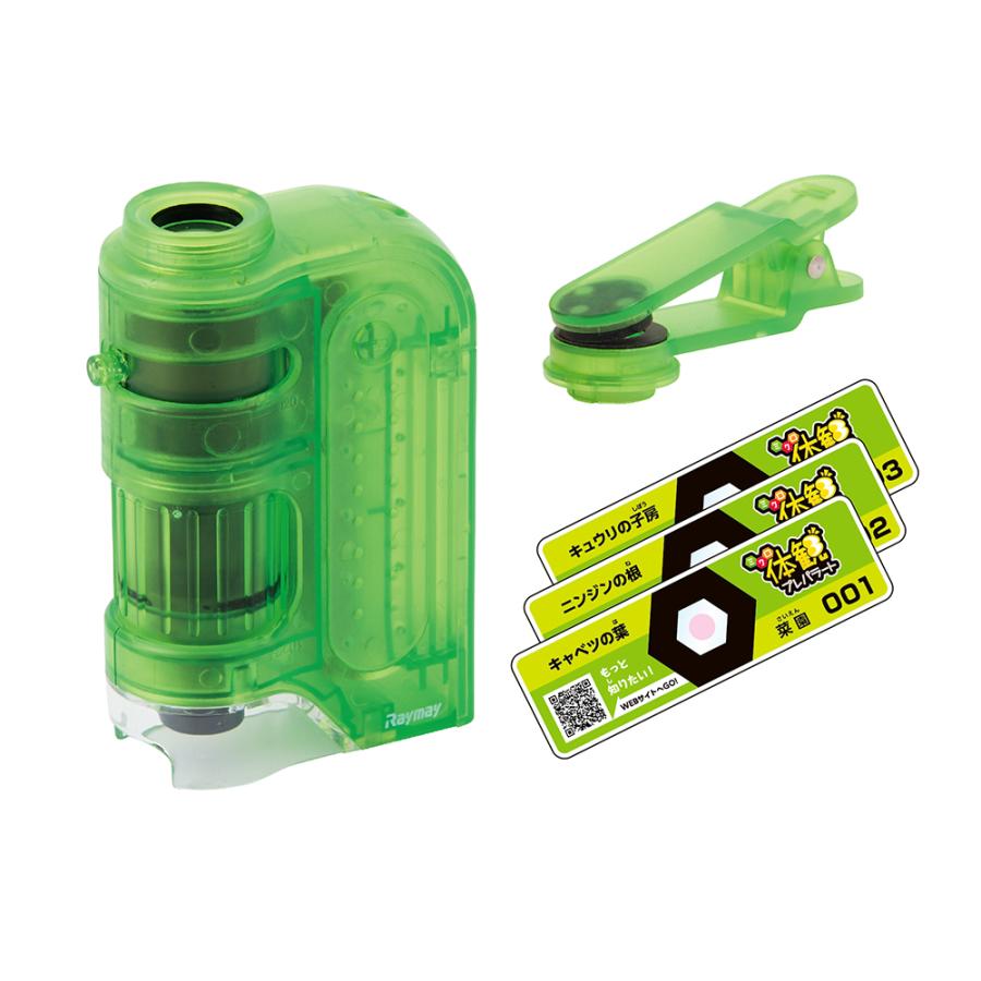 レイメイ藤井 raymay 片手サイズのハンディ顕微鏡ZOOM 倍率60-120倍 ミクロ体感セット グリーン RXTG3M | レイメイ藤井 | 01