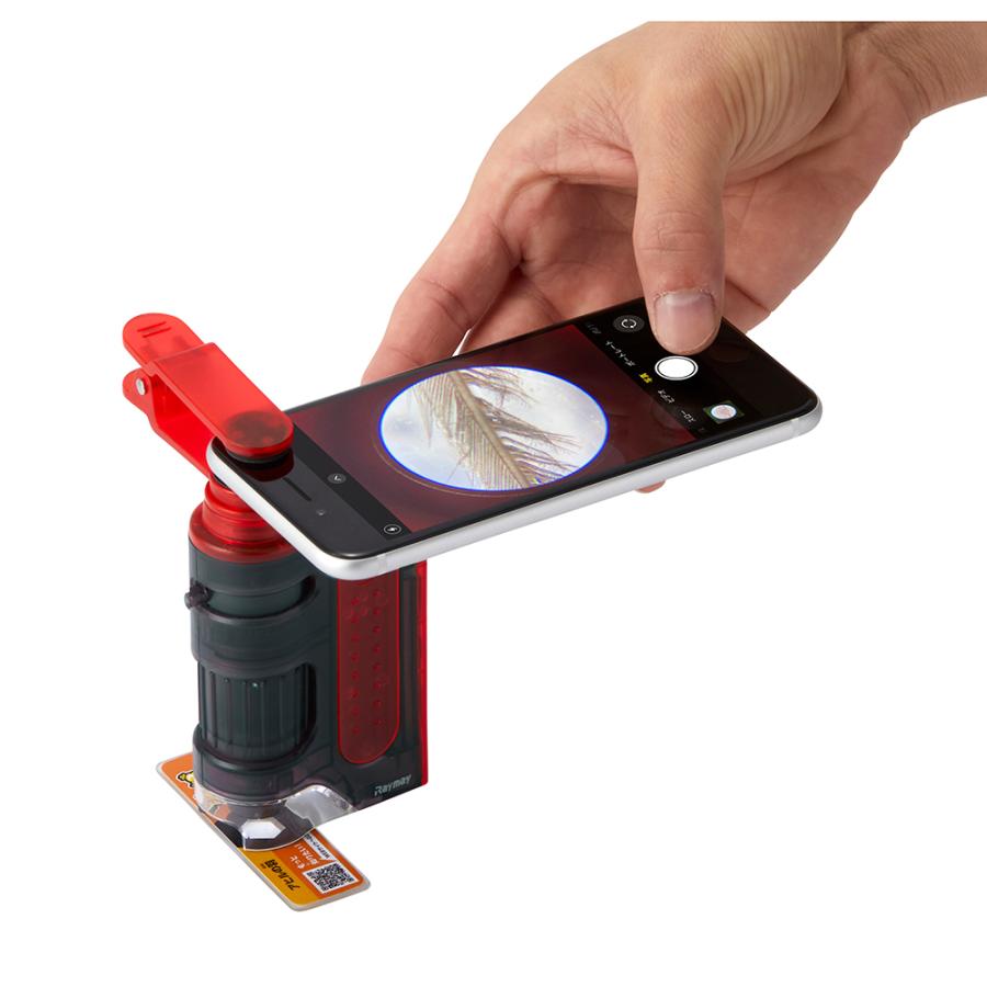 レイメイ藤井 raymay 片手サイズのハンディ顕微鏡ZOOM 倍率60-120倍 ミクロ体感セット レッド RXTG3R | レイメイ藤井 | 03