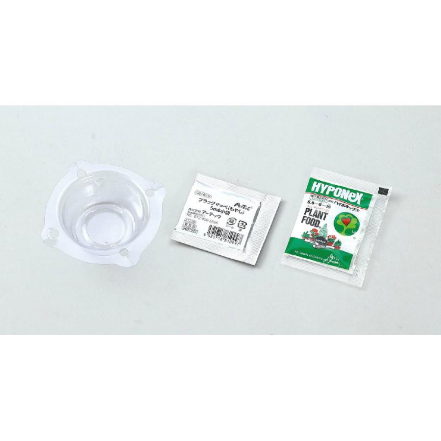 アーテック 水耕栽培で育てる黒豆もやし #55989 図工 工作 クラフト ホビー 図工 工作 クラフト ホビー | ブランド登録なし | 01