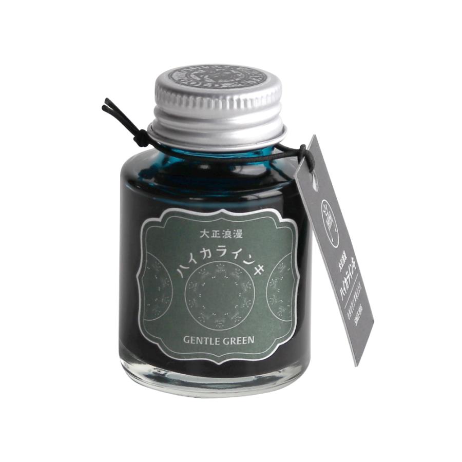 寺西化学工業 ギター 大正浪漫ハイカラインキ ジェントルグリーン | ブランド登録なし | 01