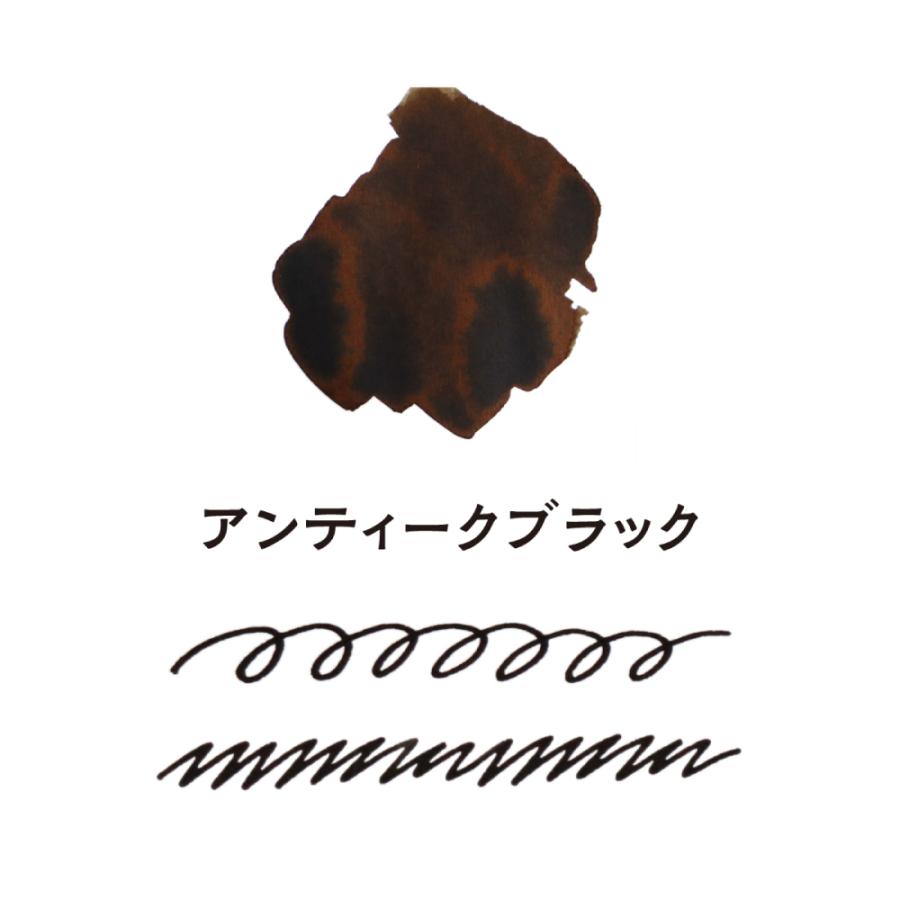 寺西化学工業 ギター 大正浪漫ハイカラインキ アンティークブラック | ブランド登録なし | 02