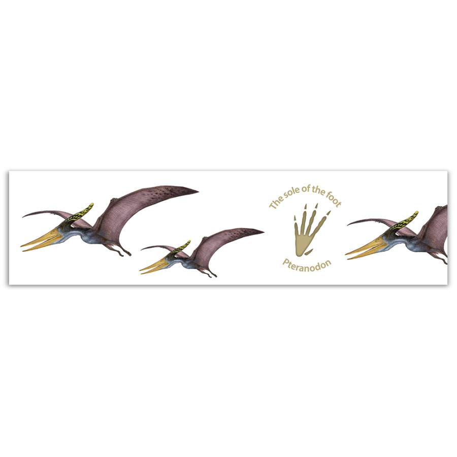 オキナ okina マスキングテープ ダイナソー 30mm幅 プテラノドン 5個セット MD4050 | OKINA | 01