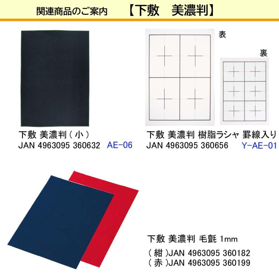 あかしや akashiya 下敷 美濃判 樹脂ラシャ 罫線入り Y-AE-01 | あかしや（文具） | 05