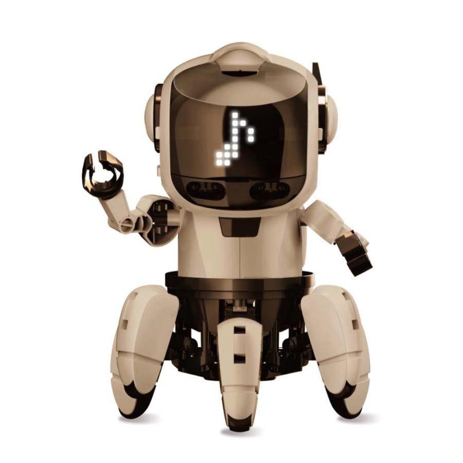 イーケイジャパン EKジャパン プログラミングフォロスピーク for CHROME MR-9123 | ブランド登録なし | 02