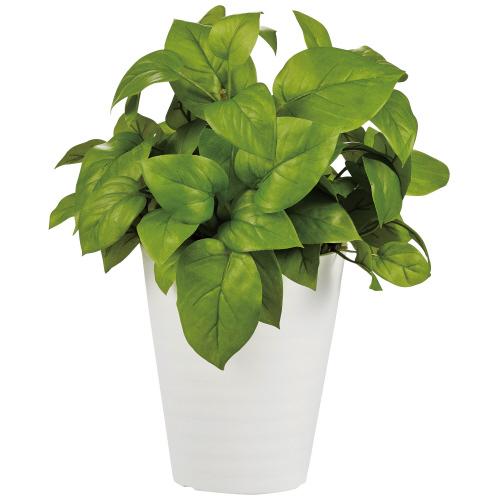 東北花材 人工樹木 ライムポトス 90239 128276 | ブランド登録なし