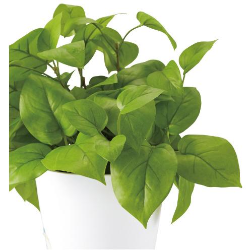 東北花材 人工樹木 ライムポトス 90239 128276 | ブランド登録なし | 01