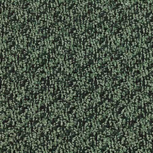 テラモト ライトリードマット MR-023 900*600mm 緑 347374 | テラモト | 01