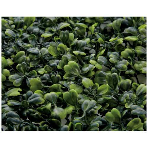 TOKIO イミテーショングリーン BLF-04 DG 740420 | ブランド登録なし | 01