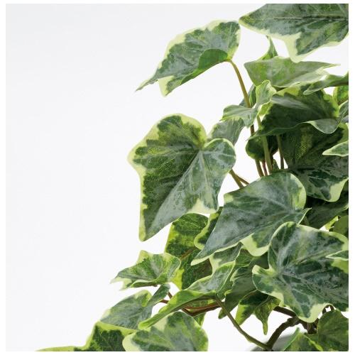 東北花材 人工樹木 グレイシアアイビー 90853 754643 | ブランド登録なし | 01