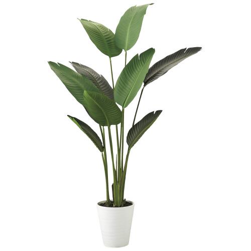 東北花材 人工樹木 オーガスタ 90857 768443 | ブランド登録なし