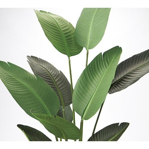 東北花材 人工樹木 オーガスタ 90857 768443 | ブランド登録なし | 01