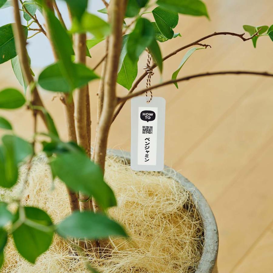 【欠品中:納期未定 入荷次第発送】カシオ Casio ネームランドテープ クラフト ブラウン 18mm XR-18KRBR ラベル 手書き | ラベルライター ネームランド | 14