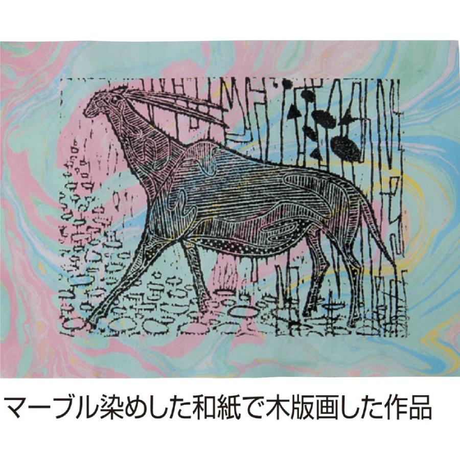 アーテック BK彩液マーブリング 5cc・5色組 #38200 美術 画材 書道 工作 | ブランド登録なし | 01