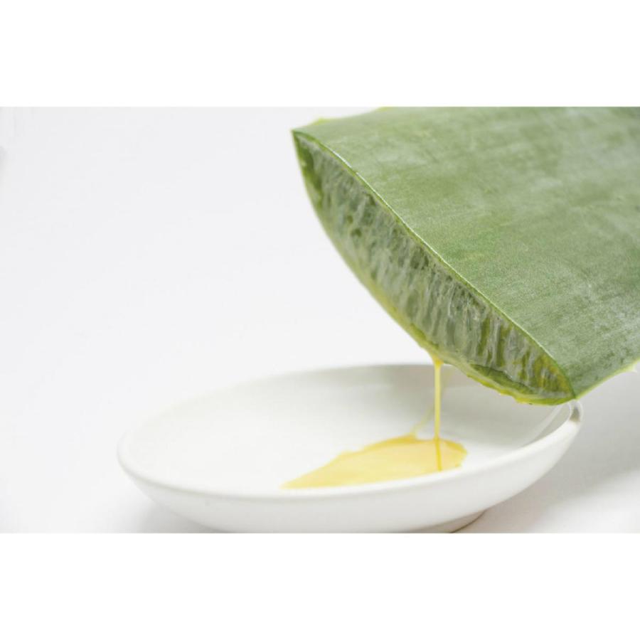 アーテック サラヤ サニタイザー 100ml #51307 衛生用品 アルコール | ブランド登録なし | 01