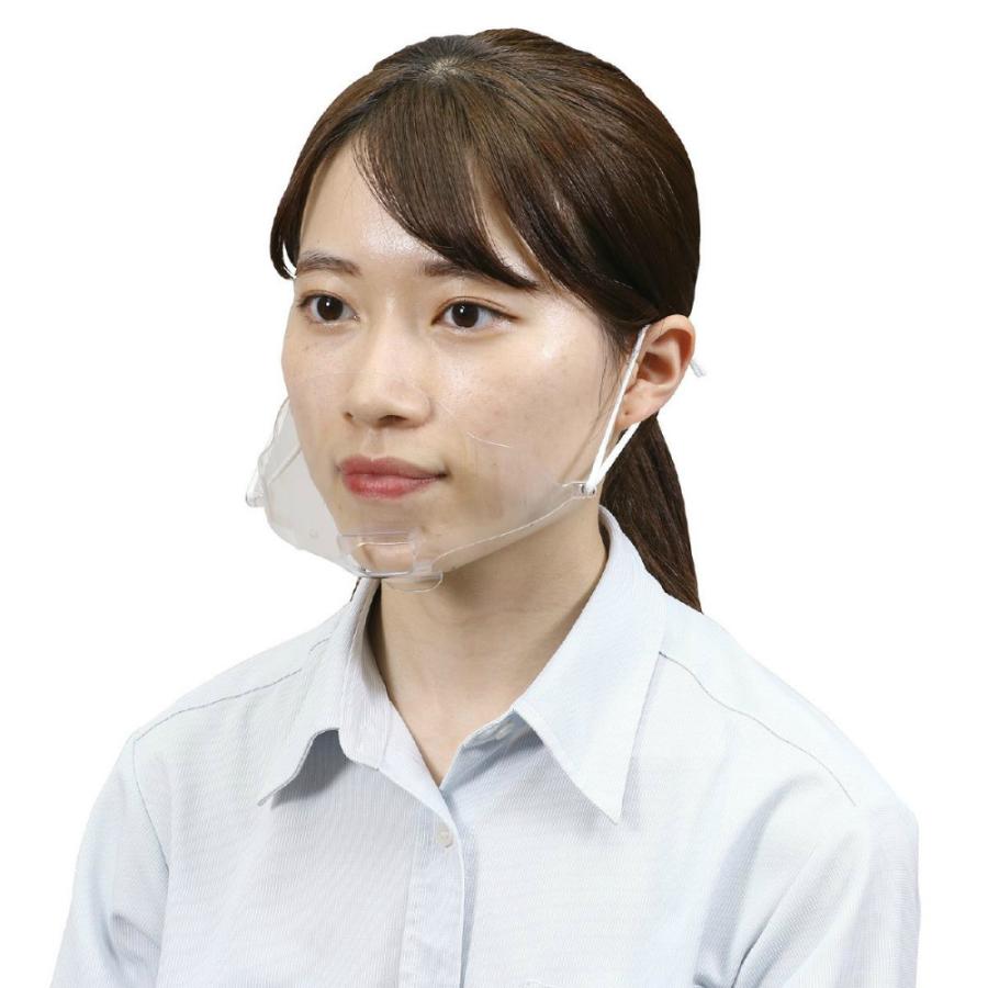 アーテック AT透明マウスガード（10個入） #51321 衛生日用品 フェイスシールド | ブランド登録なし