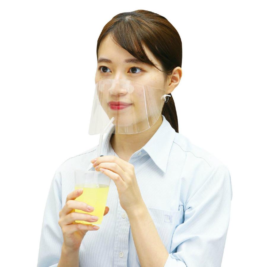 アーテック クリアシートマスク10枚組 #51392 衛生用品 フェイスシールド | ブランド登録なし | 12