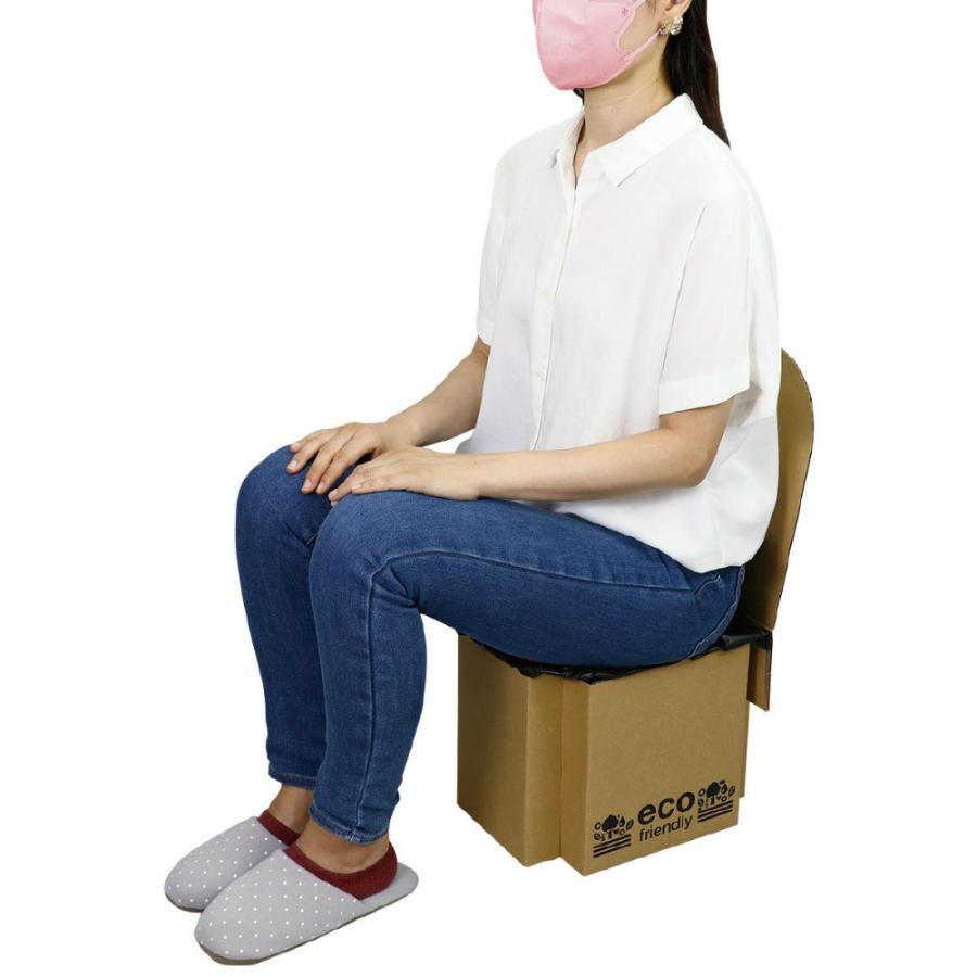 アーテック ATエコダントイレ #51895 衛生用品 衛生用品 | ブランド登録なし | 01