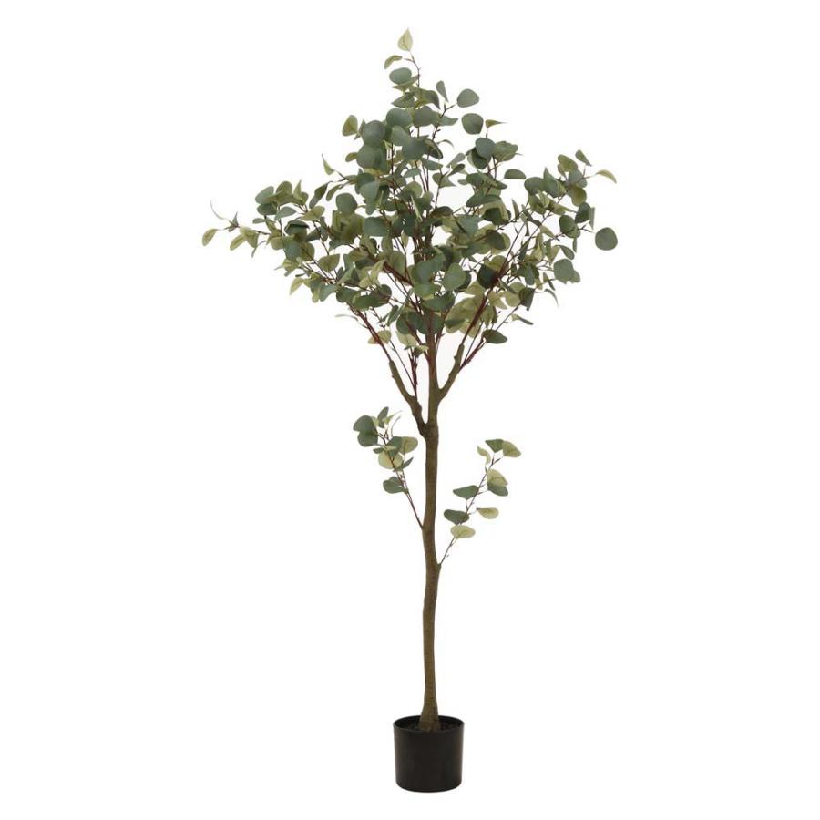 不二貿易 フェイクグリーン ユーカリ 150cm ジョイント グリーン 41120 | 不二貿易