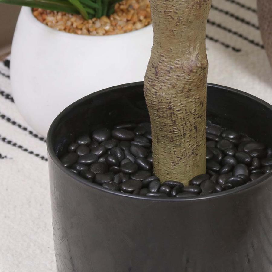 不二貿易 フェイクグリーン フィカス 160cm ジョイント グリーン 41123 | 不二貿易 | 03