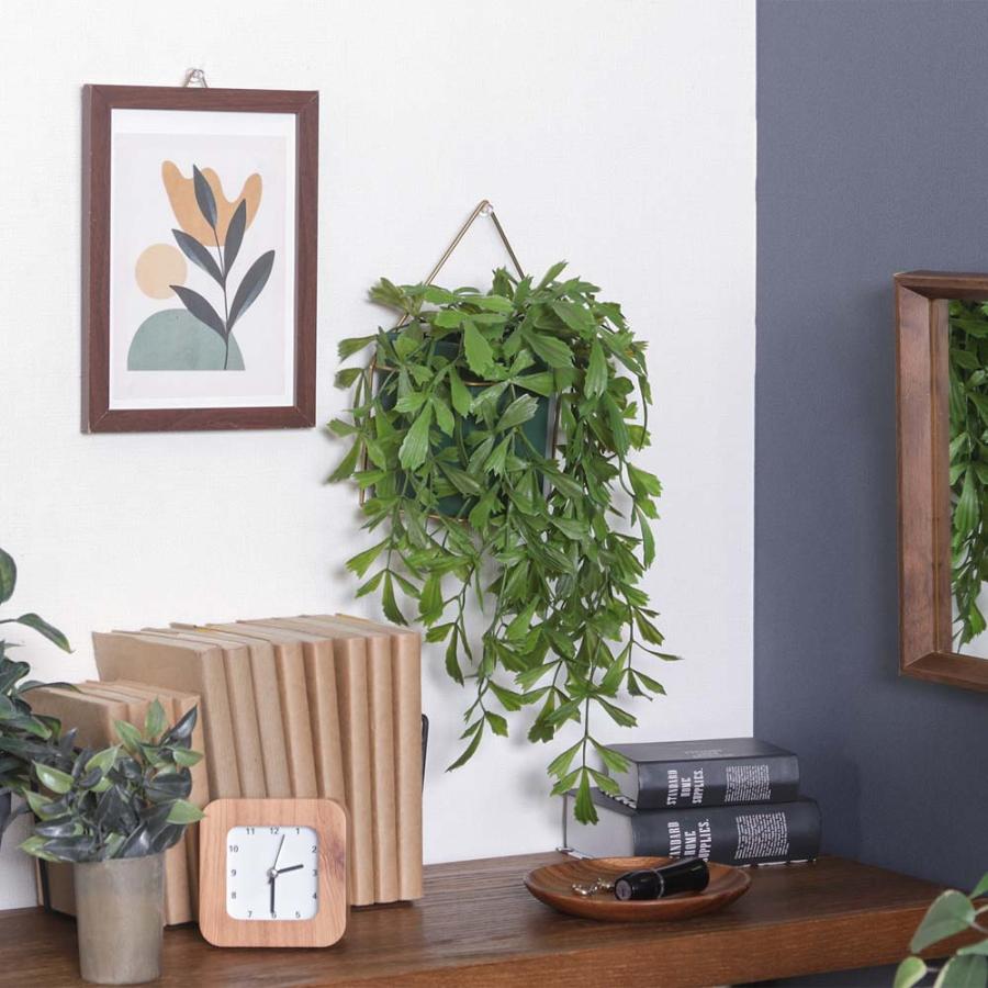 不二貿易 フェイクグリーン クジャクヤシ ハンギング 41124 | 不二貿易 | 04