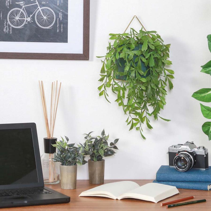 不二貿易 フェイクグリーン クジャクヤシ ハンギング 41124 | 不二貿易 | 06