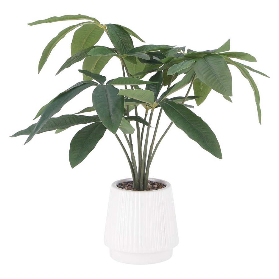 不二貿易 フェイクグリーン パキラ セラミックポット グリーン 41128 | 不二貿易