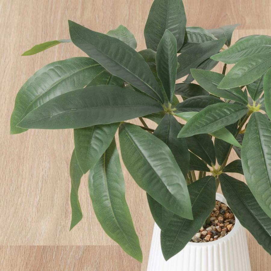 不二貿易 フェイクグリーン パキラ セラミックポット グリーン 41128 | 不二貿易 | 01