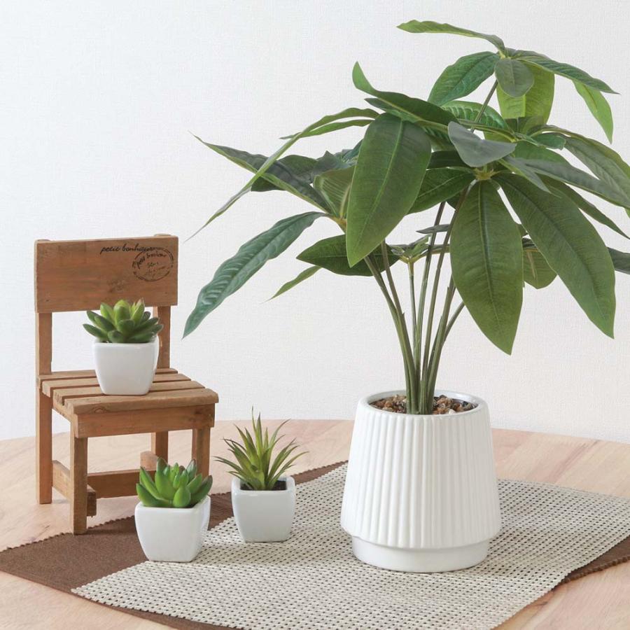 不二貿易 フェイクグリーン パキラ セラミックポット グリーン 41128 | 不二貿易 | 04