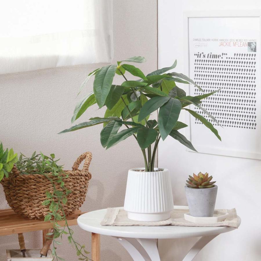 不二貿易 フェイクグリーン パキラ セラミックポット グリーン 41128 | 不二貿易 | 05