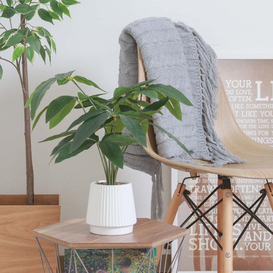 不二貿易 フェイクグリーン パキラ セラミックポット グリーン 41128 | 不二貿易 | 06