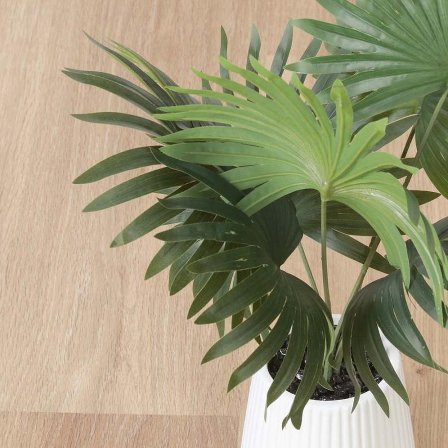 不二貿易 フェイクグリーン ナマソウ セラミックポット グリーン 41129 | 不二貿易 | 01