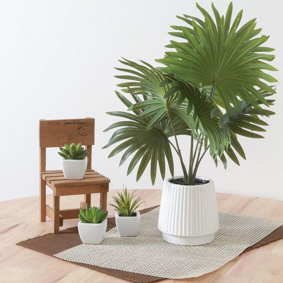 不二貿易 フェイクグリーン ナマソウ セラミックポット グリーン 41129 | 不二貿易 | 04