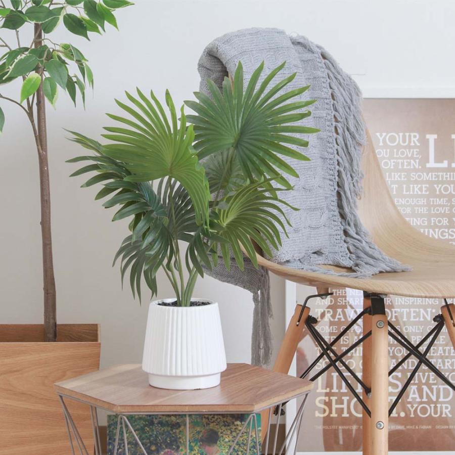 不二貿易 フェイクグリーン ナマソウ セラミックポット グリーン 41129 | 不二貿易 | 06