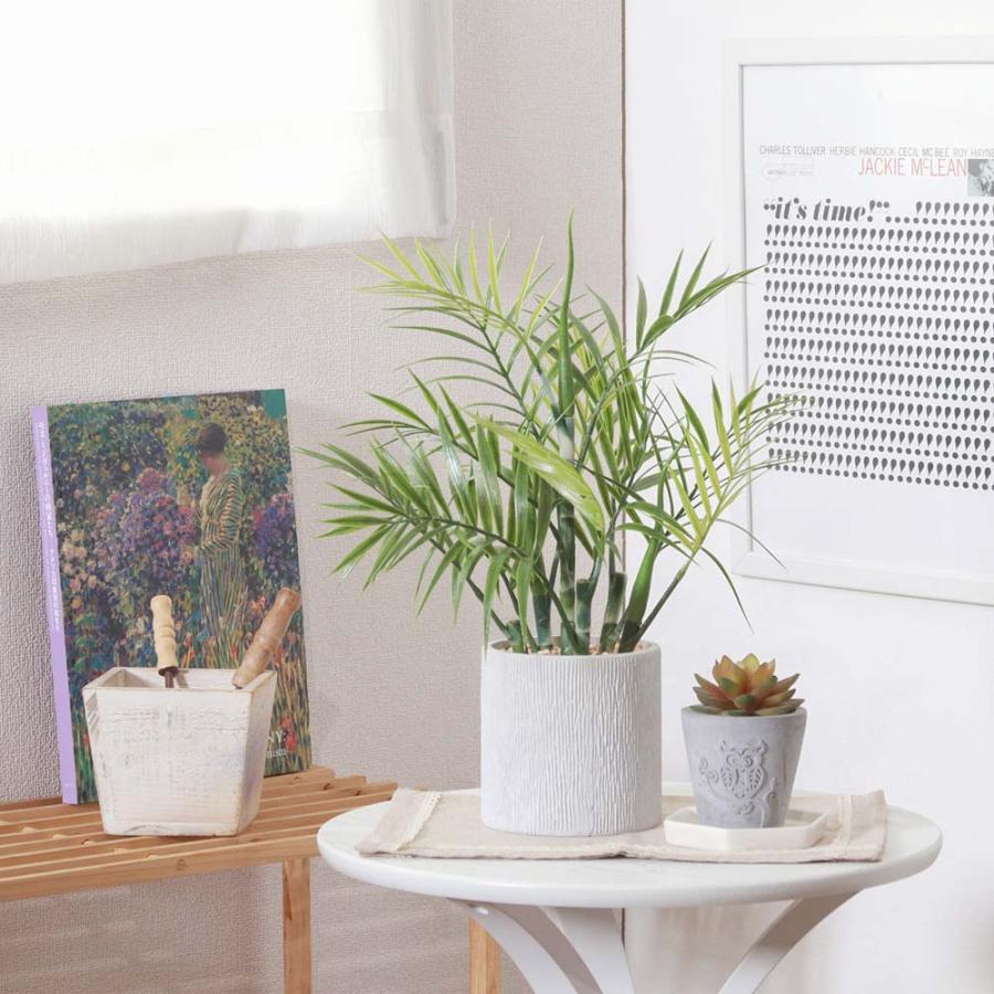 不二貿易 フェイクグリーン テーブルヤシ ペーパーポット グリーン 41130 | 不二貿易 | 05