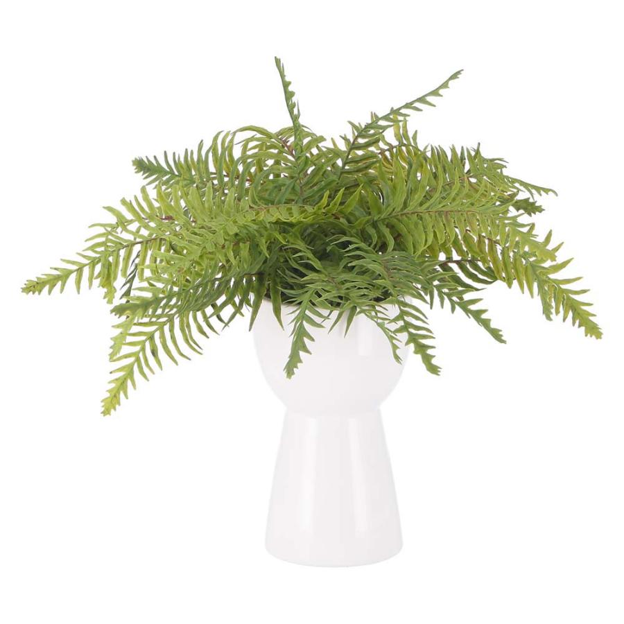 不二貿易 フェイクグリーン シダ セラミックポット グリーン 41131 | 不二貿易