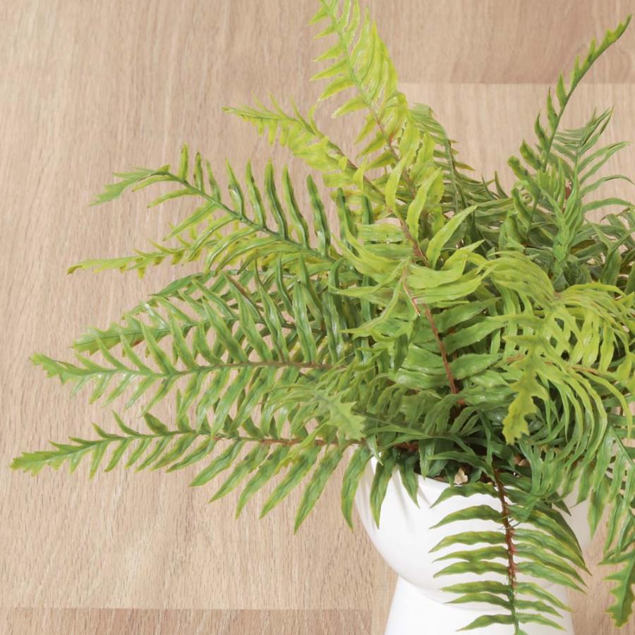 不二貿易 フェイクグリーン シダ セラミックポット グリーン 41131 | 不二貿易 | 01