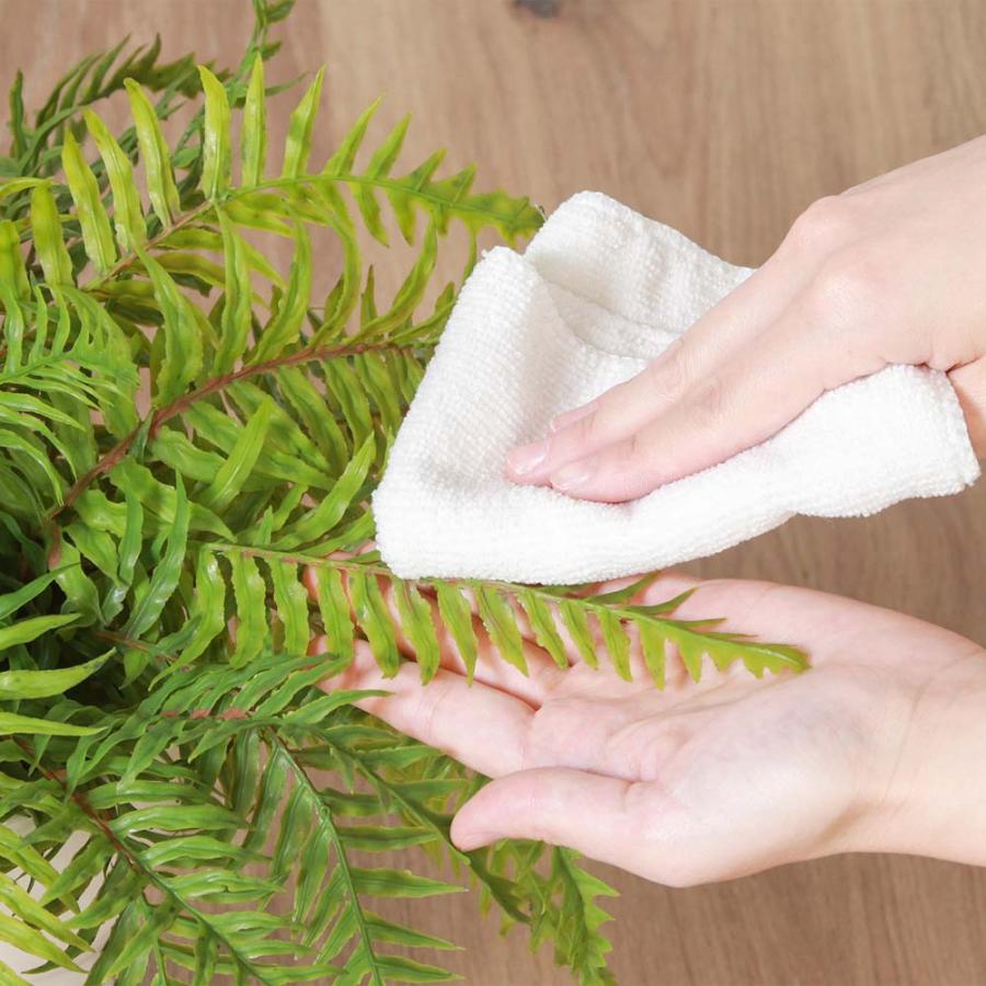 不二貿易 フェイクグリーン シダ セラミックポット グリーン 41131 | 不二貿易 | 02