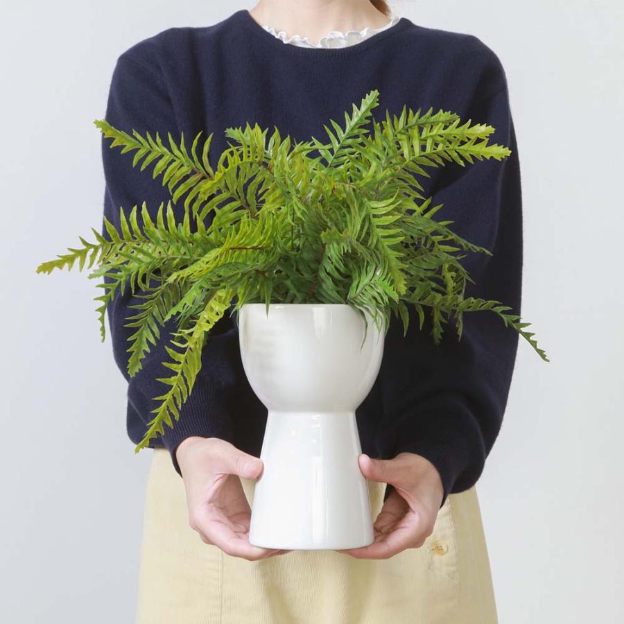 不二貿易 フェイクグリーン シダ セラミックポット グリーン 41131 | 不二貿易 | 03