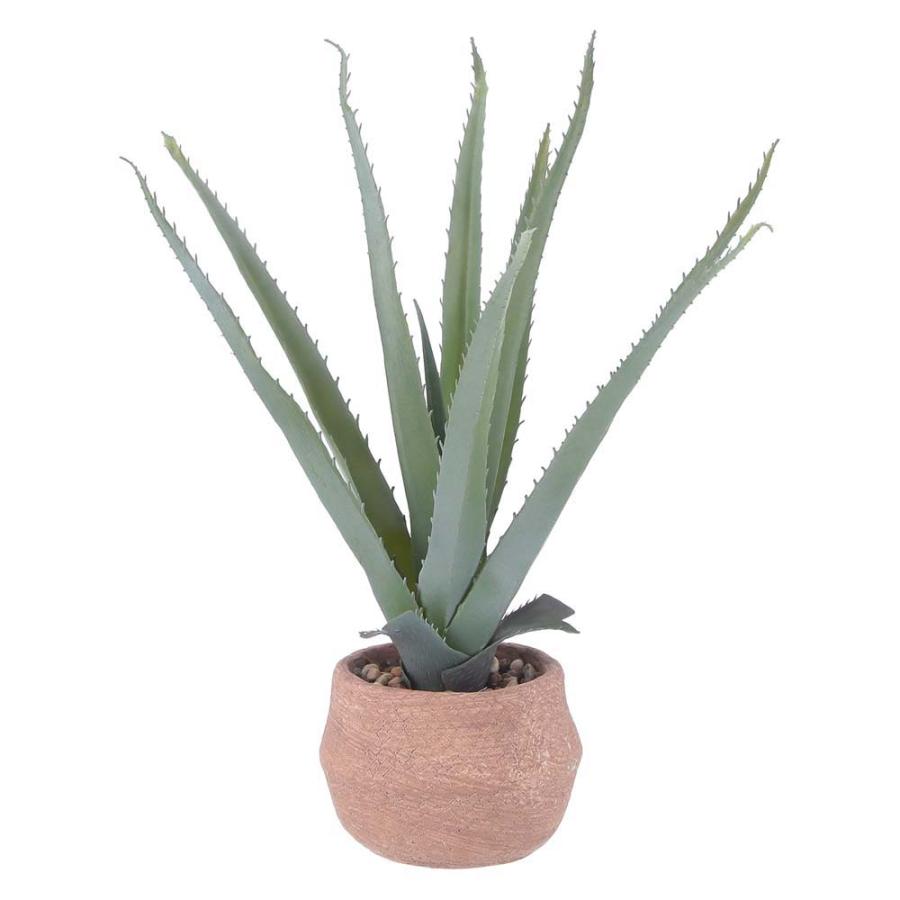 不二貿易 フェイクグリーン アロエ Sサイズ セメントポット グリーン 41134 | 不二貿易