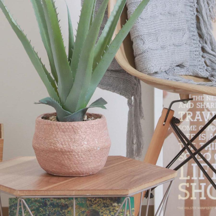 不二貿易 フェイクグリーン アロエ Sサイズ セメントポット グリーン 41134 | 不二貿易 | 04