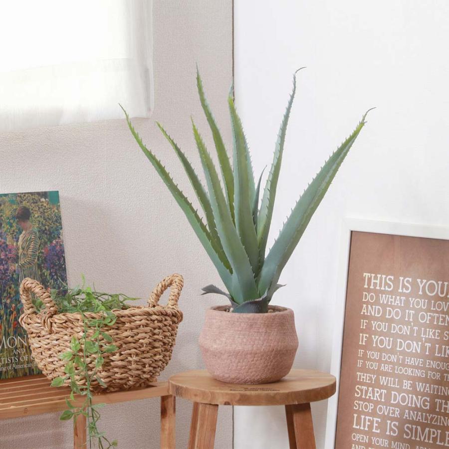 不二貿易 フェイクグリーン アロエ Sサイズ セメントポット グリーン 41134 | 不二貿易 | 05