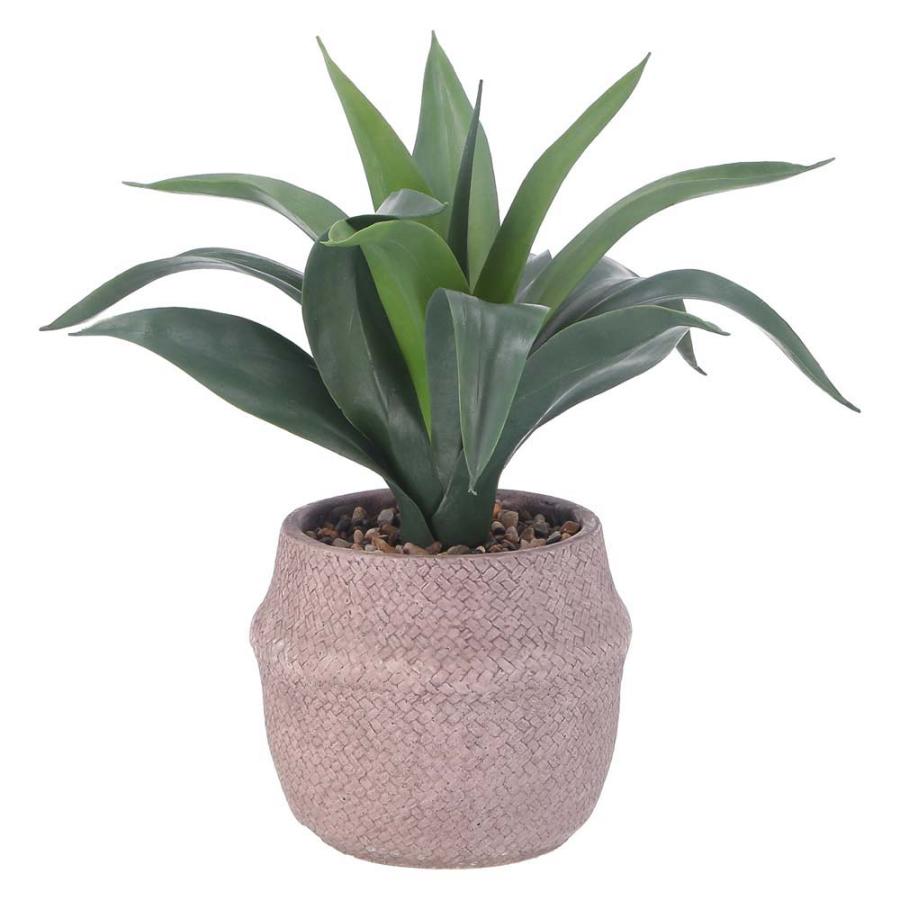 不二貿易 フェイクグリーン アガベ セメントポット グリーン 41135 | 不二貿易